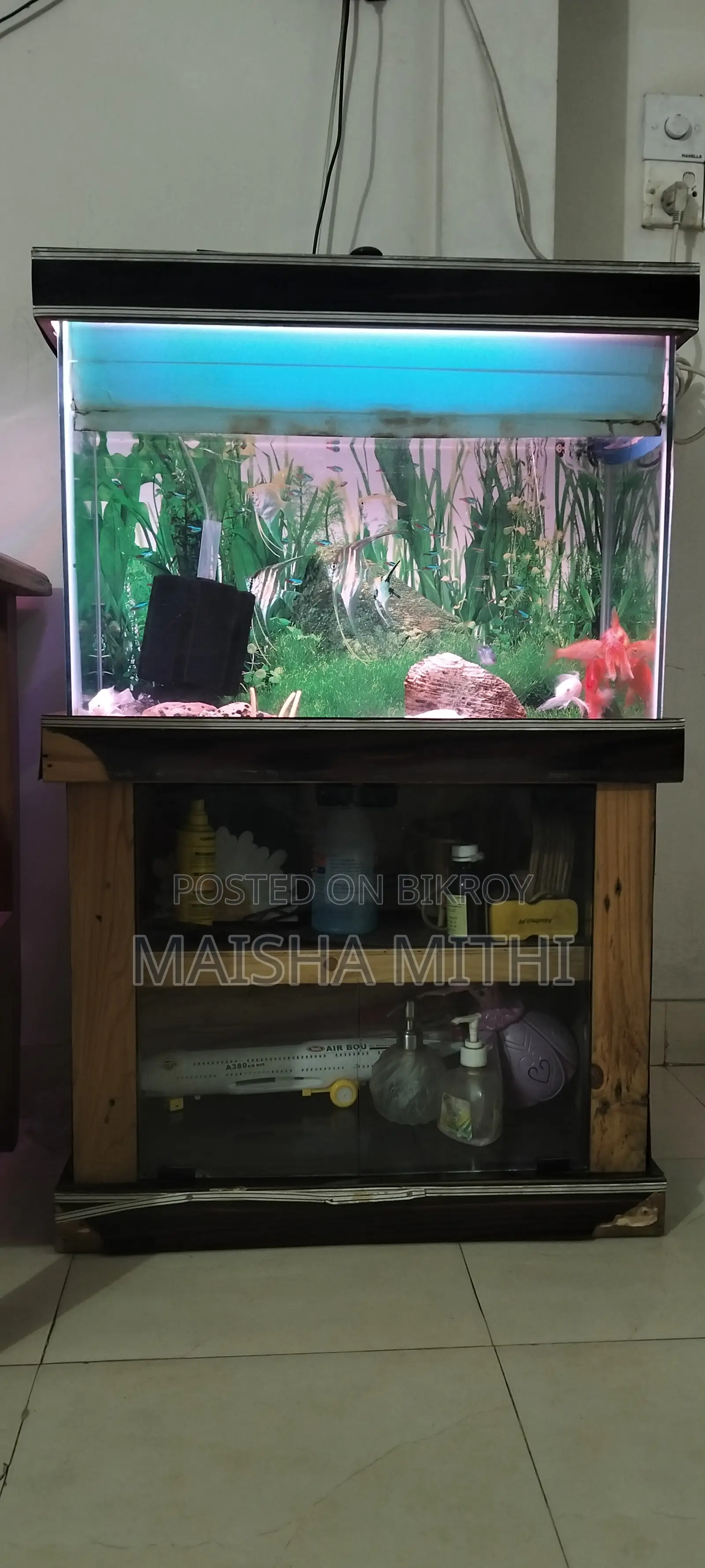Aquarium