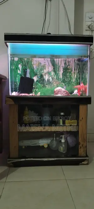 Aquarium