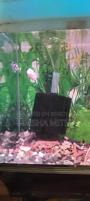 Aquarium