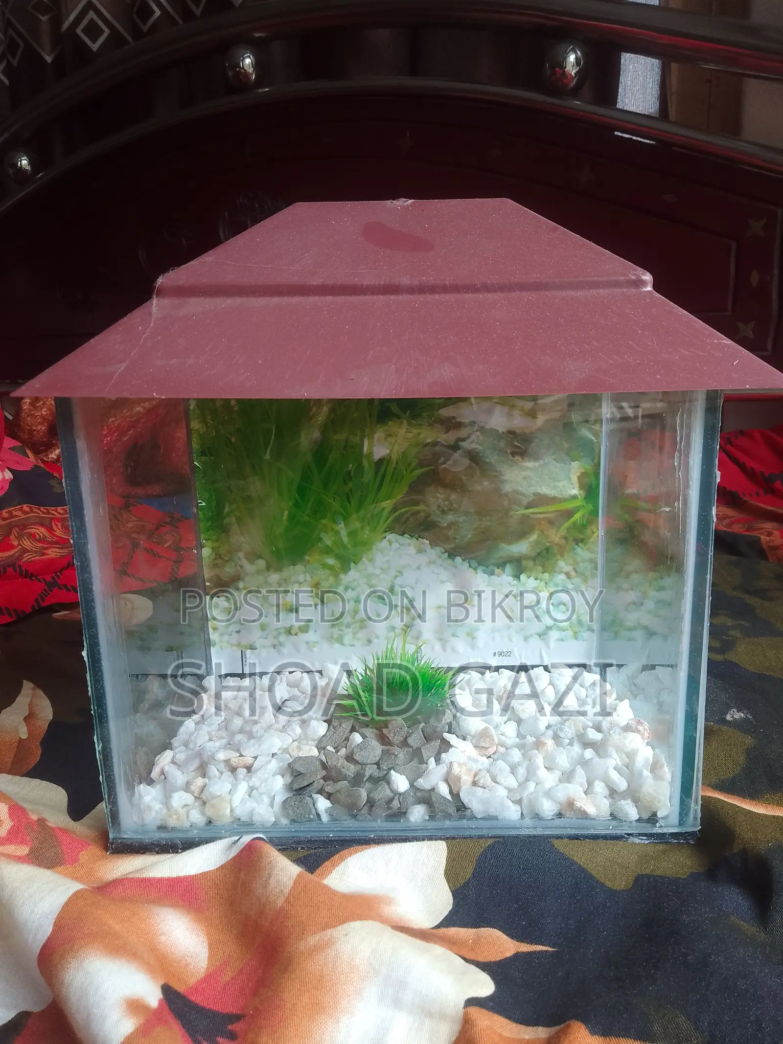 Mini Aquarium