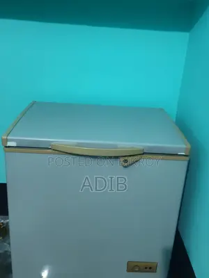 বাসায় ব্যবহৃত রানিং ফ্রিজ রাজশাহীতে