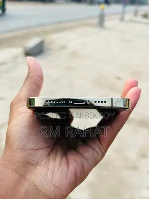 Apple iPhone 13 Pro Max (Used)