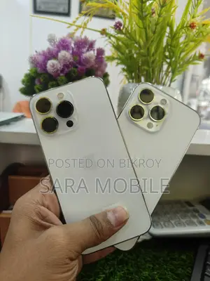 Apple iPhone 13 Pro . (Used)