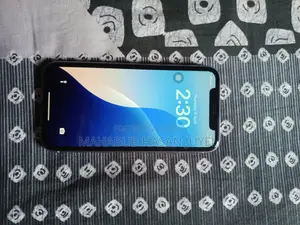 Apple iPhone 11 (Used)