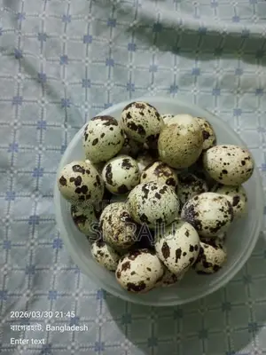 Quail Eggs