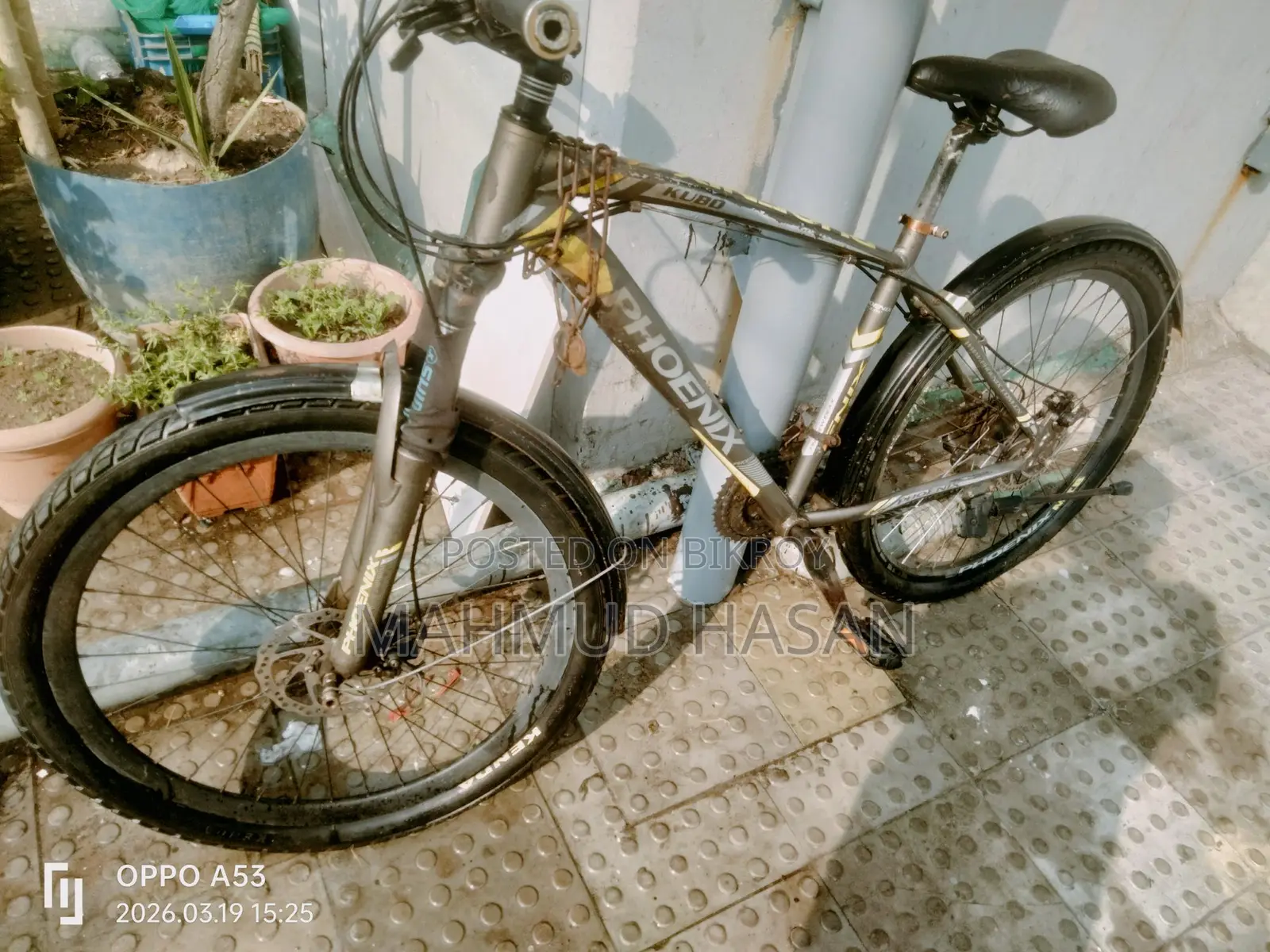 বাইসাইকেল