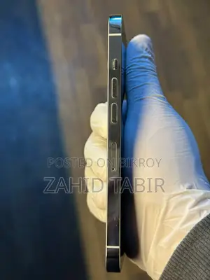 Apple iPhone 13 Pro (ব্যবহৃত)