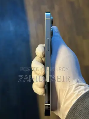 Apple iPhone 13 Pro (ব্যবহৃত)