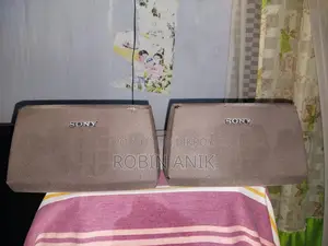 Sony Vx555 Surround Speaker
