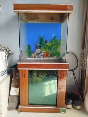 ১৮x১২ ইঞ্চি অ্যাকোয়ারিয়াম সেরা অবস্থায়