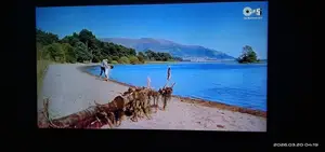 অরজিনাল স্যামসাং টেলিভিশন