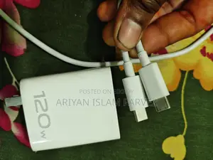 Vivo 120W Charger