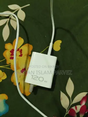 Vivo 120W Charger
