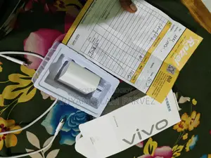 Vivo 120W Charger