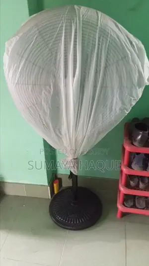 Big Stand Fan