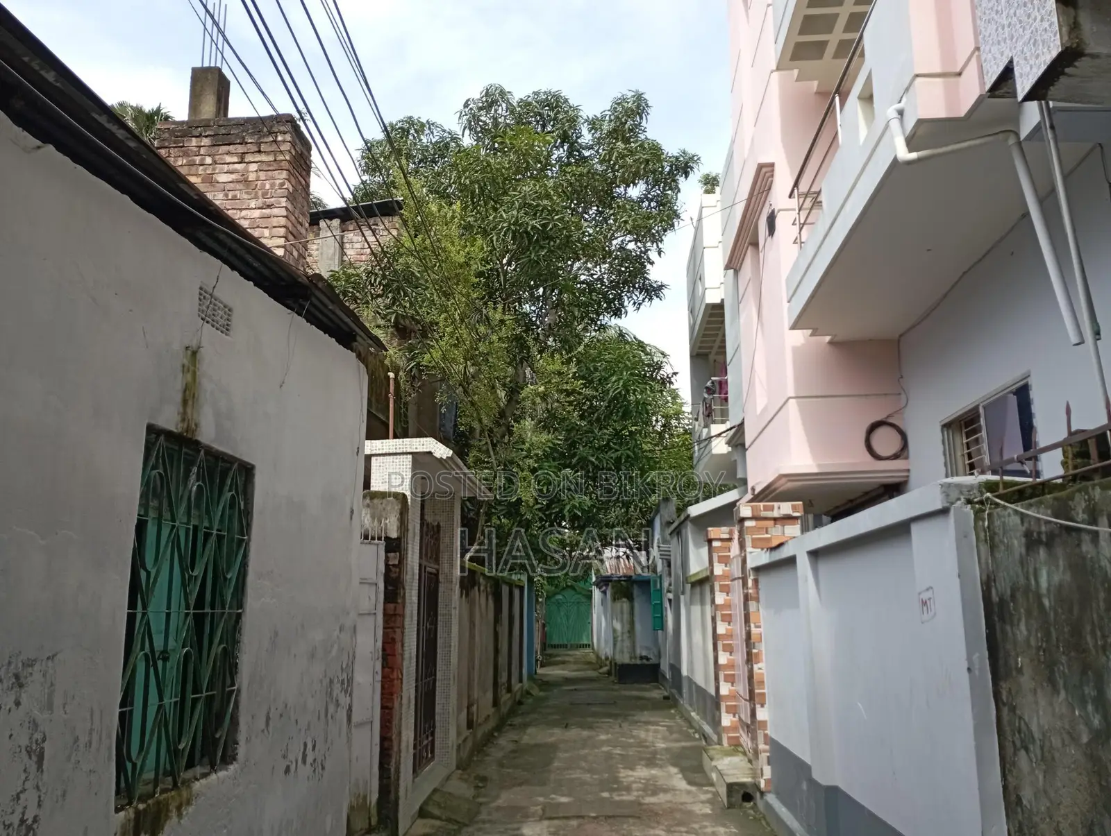 নির্ভেজাল জমি এখনই বাড়ি করার উপযুক্ত।