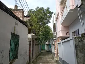 নির্ভেজাল জমি এখনই বাড়ি করার উপযুক্ত।