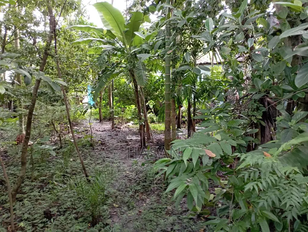 নির্ভেজাল জমি এখনই বাড়ি করার উপযুক্ত।