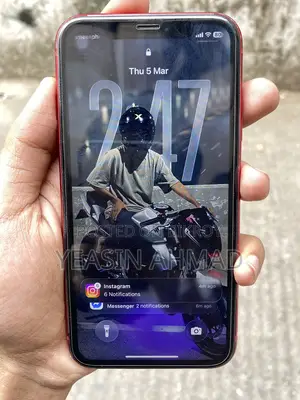 Apple iPhone 11 (Used)