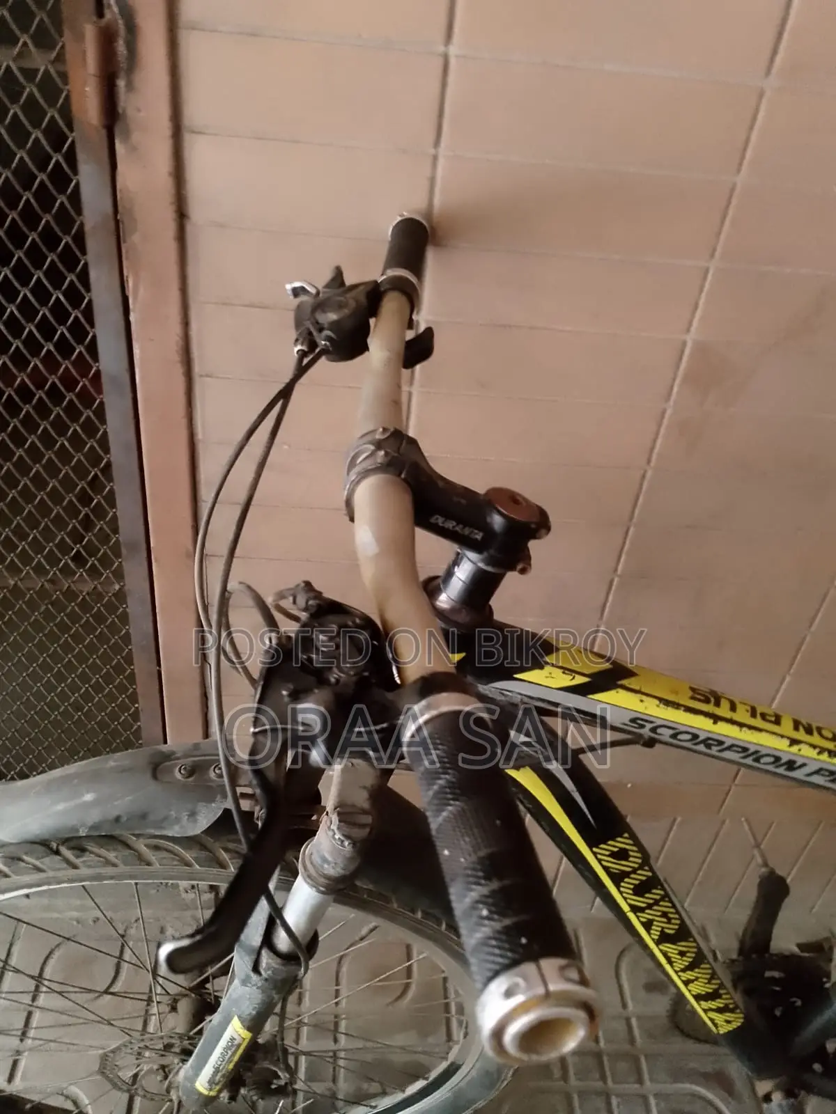 সাইকেল দেখতে এখনো নতুনের মতই আছে