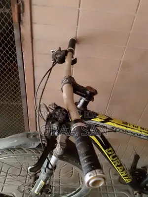 সাইকেল দেখতে এখনো নতুনের মতই আছে