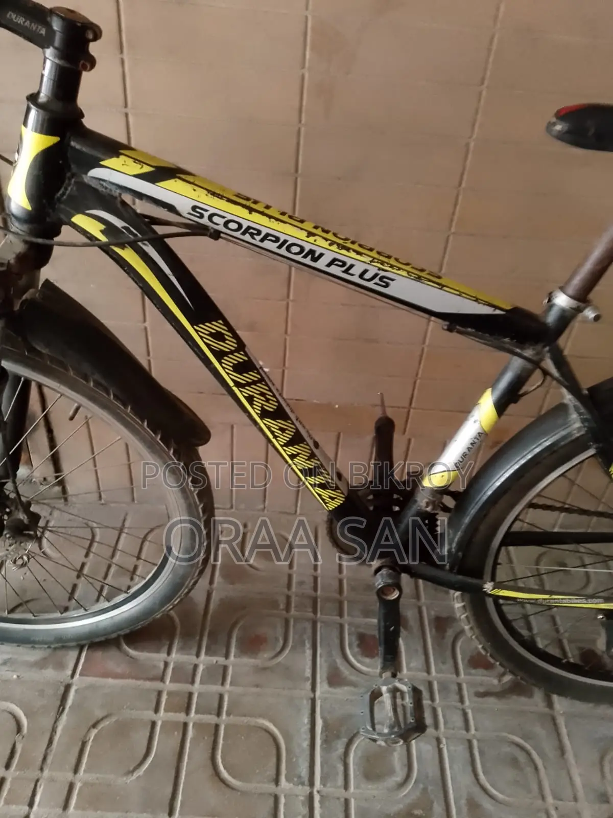 সাইকেল দেখতে এখনো নতুনের মতই আছে