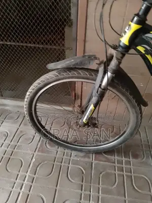 সাইকেল দেখতে এখনো নতুনের মতই আছে