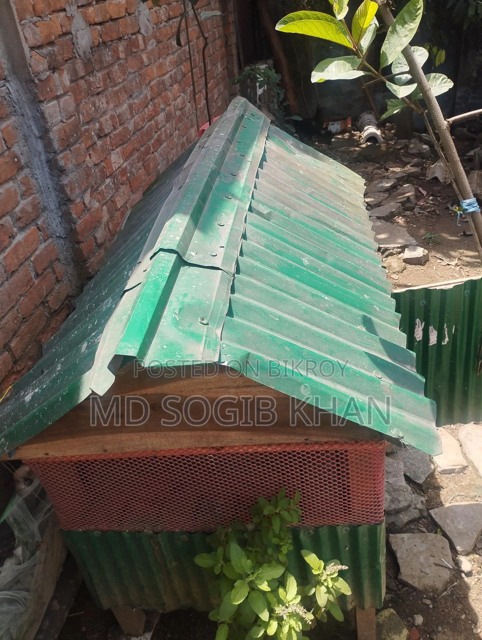 হাঁস মুরগির ঘর