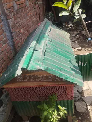 হাঁস মুরগির ঘর