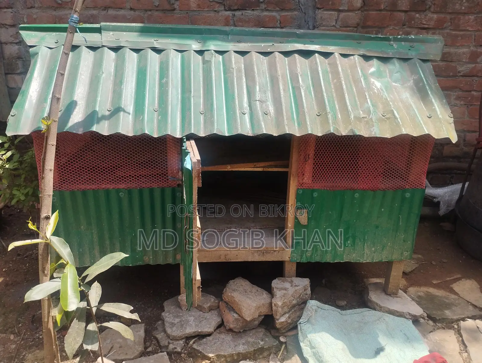 হাঁস মুরগির ঘর