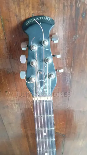Signature Guitar