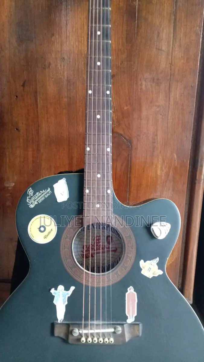 Signature Guitar