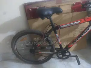 Bicycle Sale