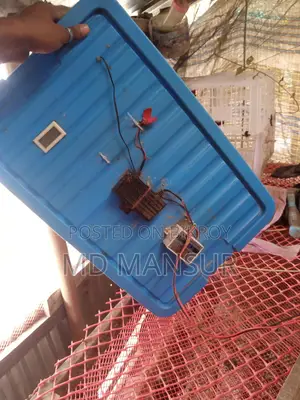 ইনকিউবেটর মেশিন