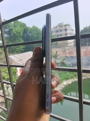 Vivo X200 Pro (Used)