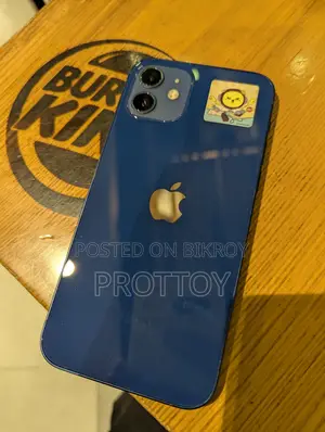 Apple iPhone 12 (Used)