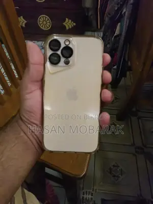 Apple iPhone 13 Pro Max 256GB (Used)