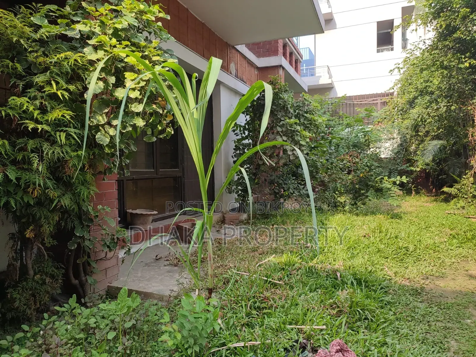 Independent House Rent for Embassy Foreign Office Baridhara Diplomatic Zone