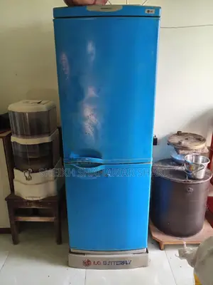 Lg Refrigerator