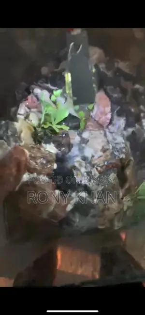 Aquarium