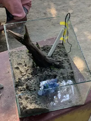 Aquarium