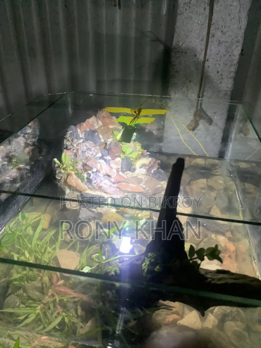 Aquarium