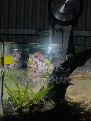 Aquarium