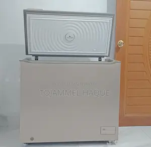 Conion Bem 209 Deep Freezer