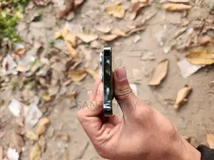 Apple iPhone 13 Pro (ব্যবহৃত)