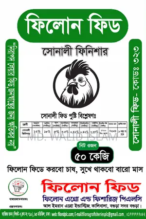 ফিলোন ফিড