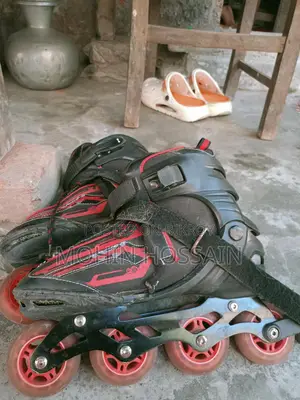 স্কেটস