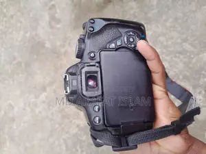 Canon Eos 650d and 55-250mm is lens
