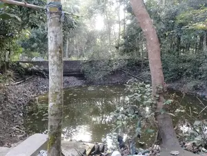 রাস্তার পাশে জমি বিক্রয়
