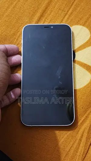 Apple iPhone 12 (Used)